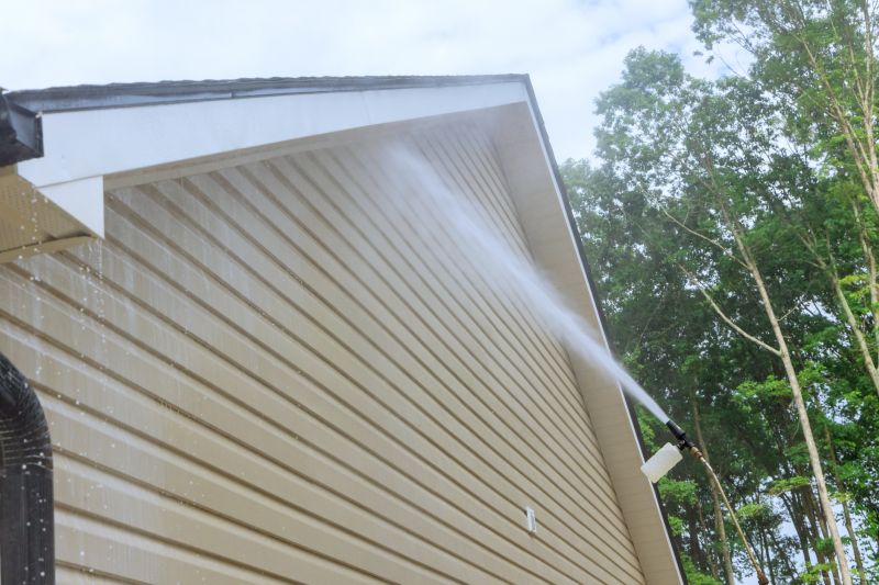 House Siding Cleaning