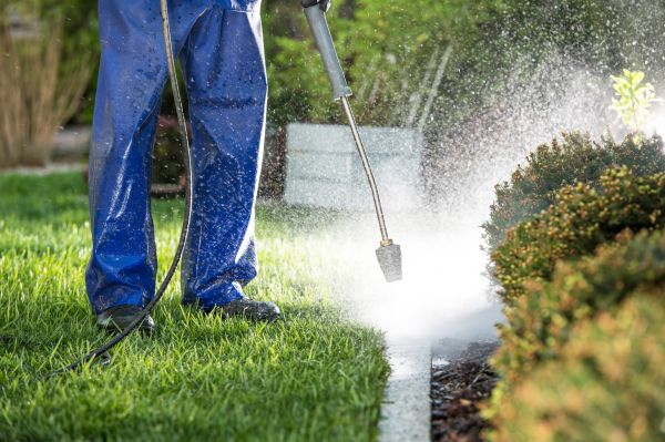 Cost of Curb Cleaning in Carlisle