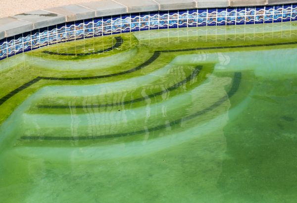 Cost of Pool Deck Algae Removal in Carlisle