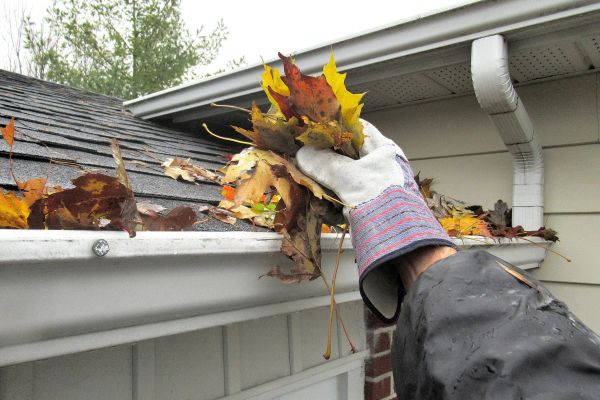 Cost of Eaves Cleaning in Carlisle