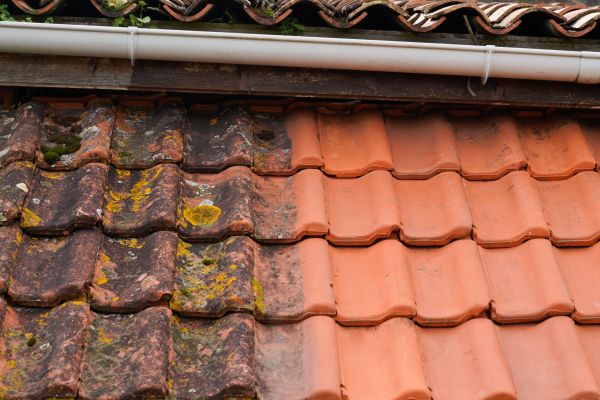 Industrial Roof Cleaning in Carlisle